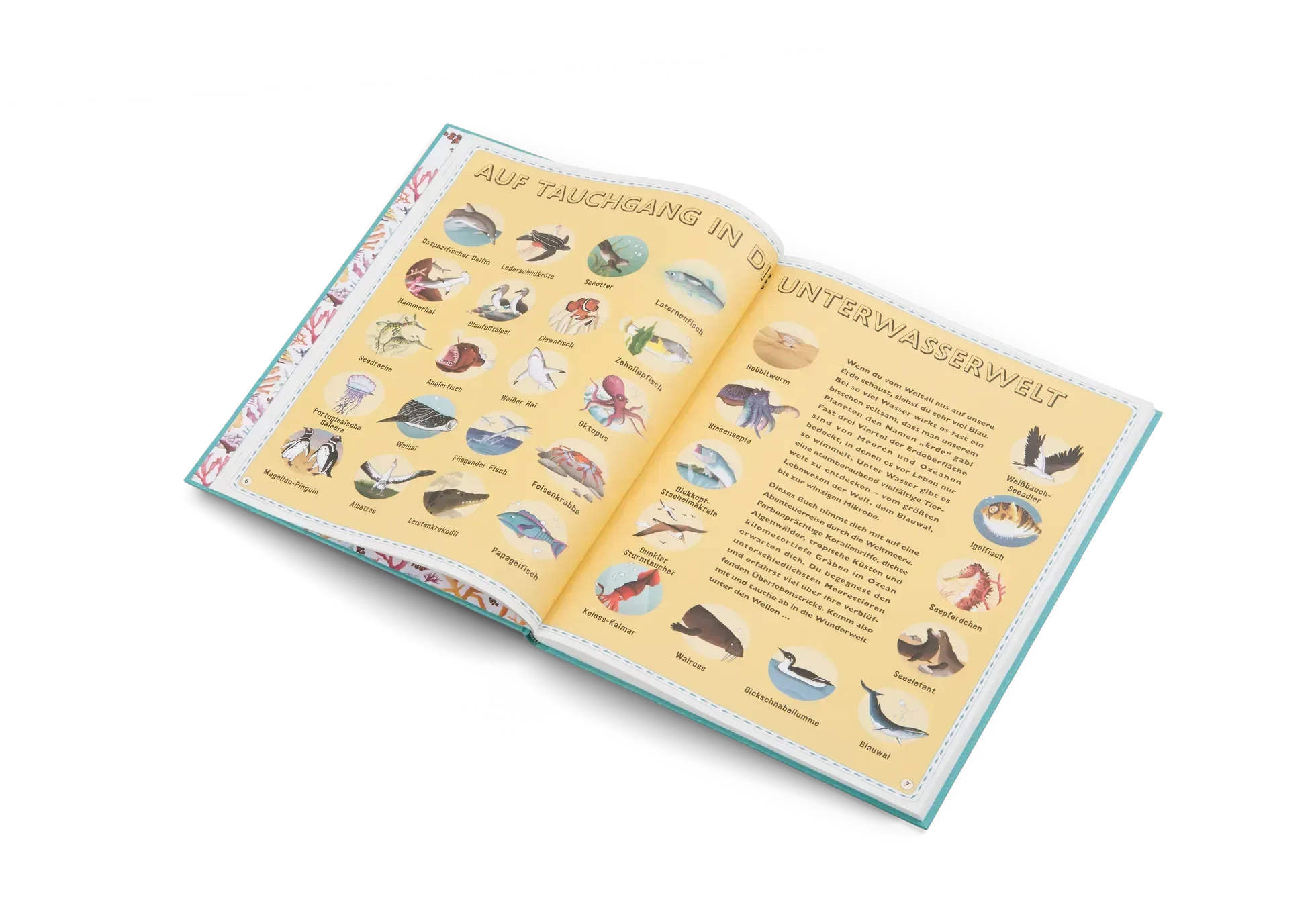 Der Atlas der Ozeane