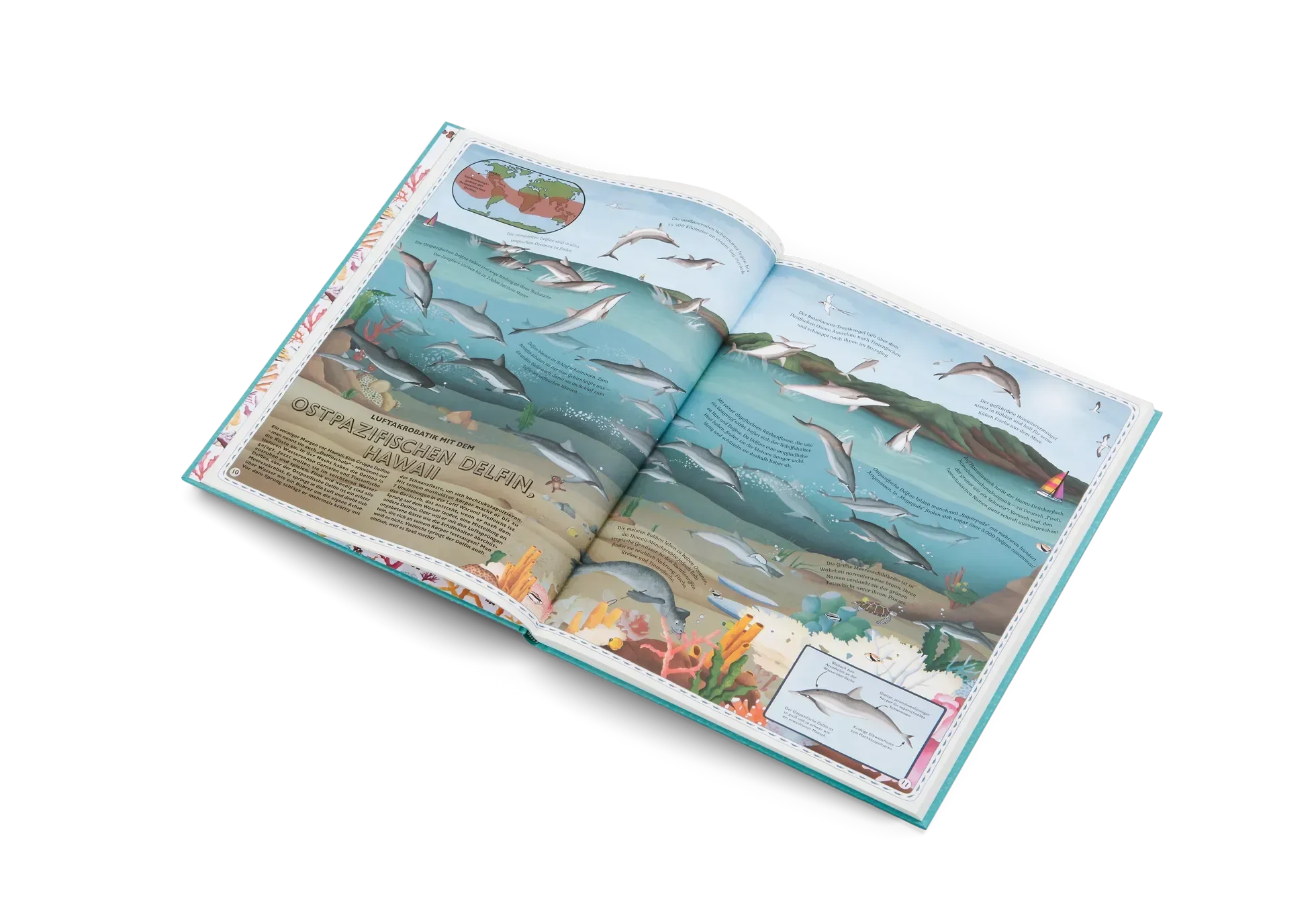 Der Atlas der Ozeane