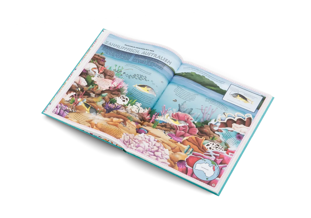 Der Atlas der Ozeane
