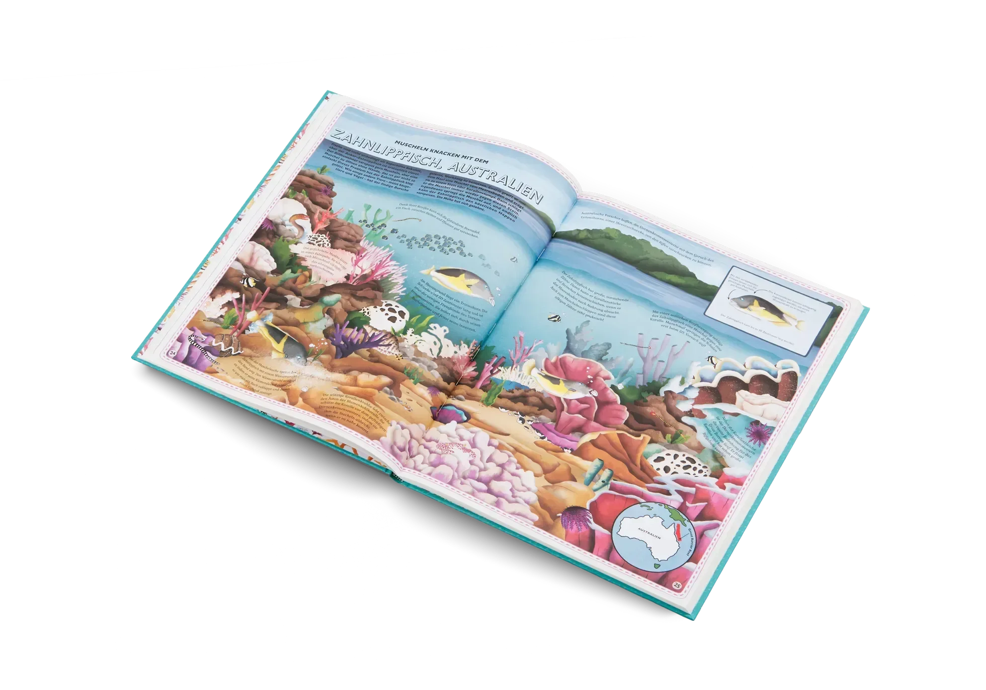 Der Atlas der Ozeane