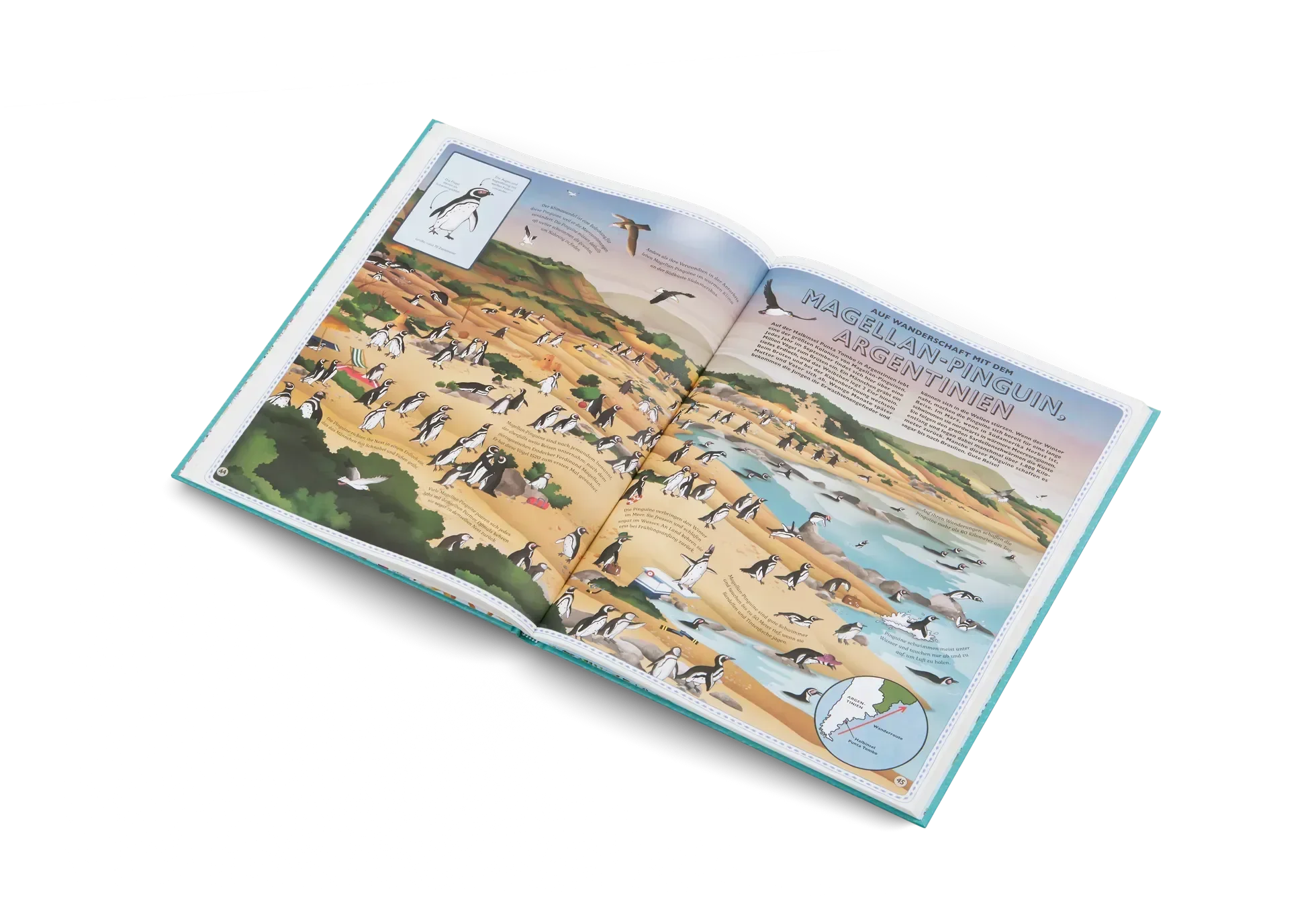 Der Atlas der Ozeane