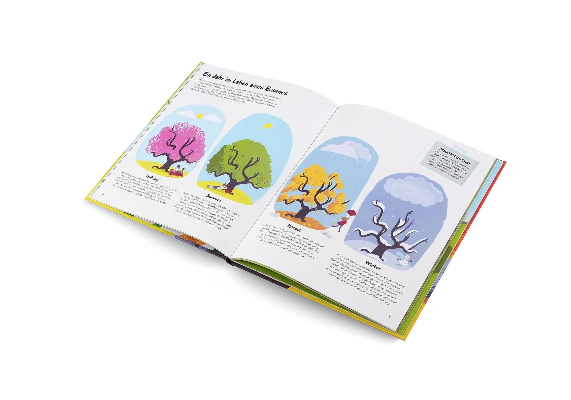 Das kleine Buch der Bäume