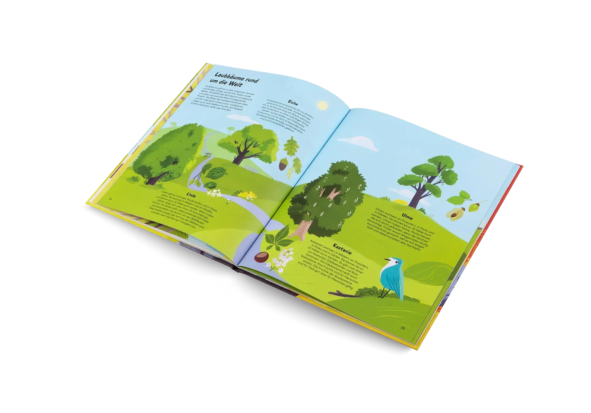 Das kleine Buch der Bäume