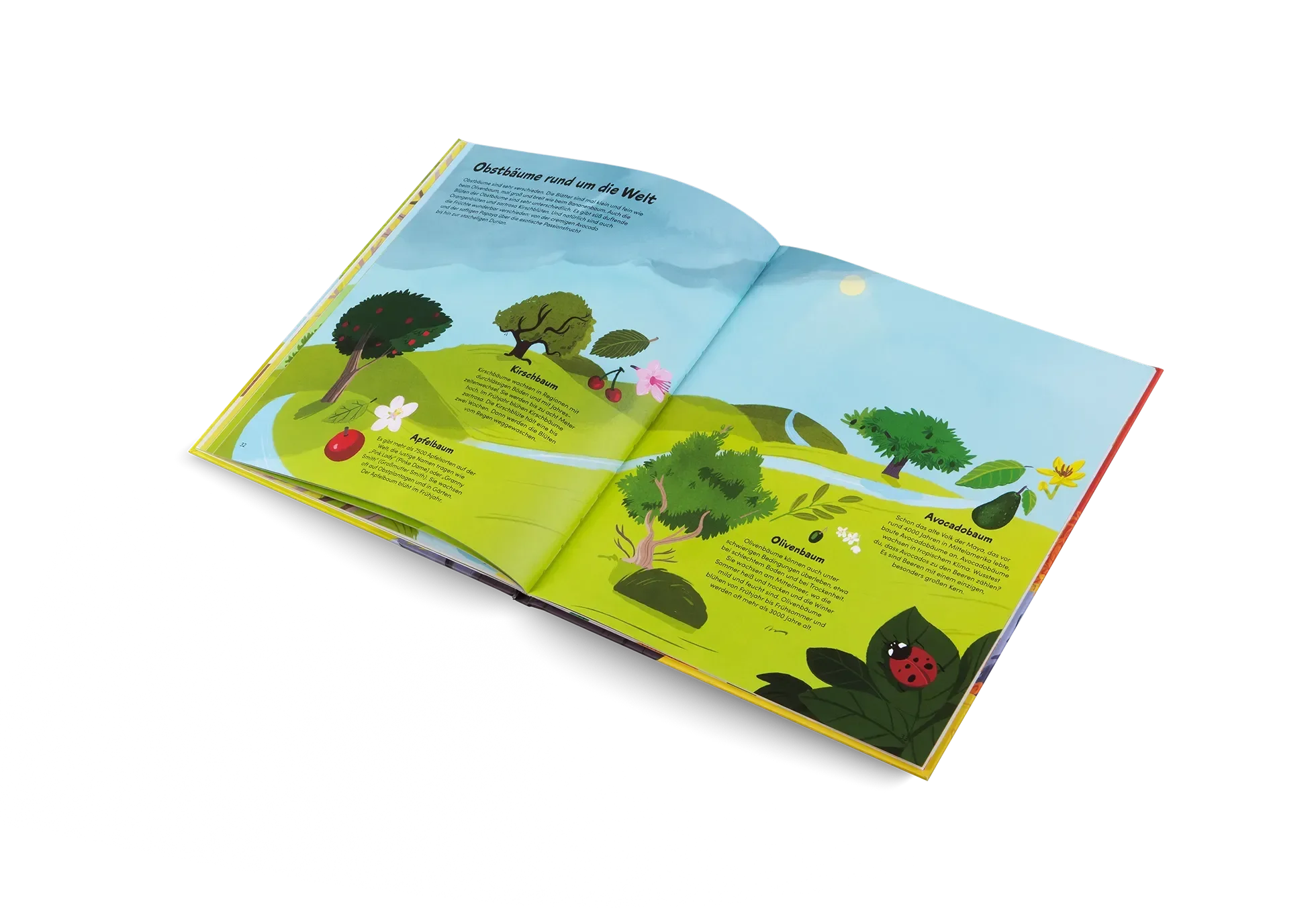 Das kleine Buch der Bäume