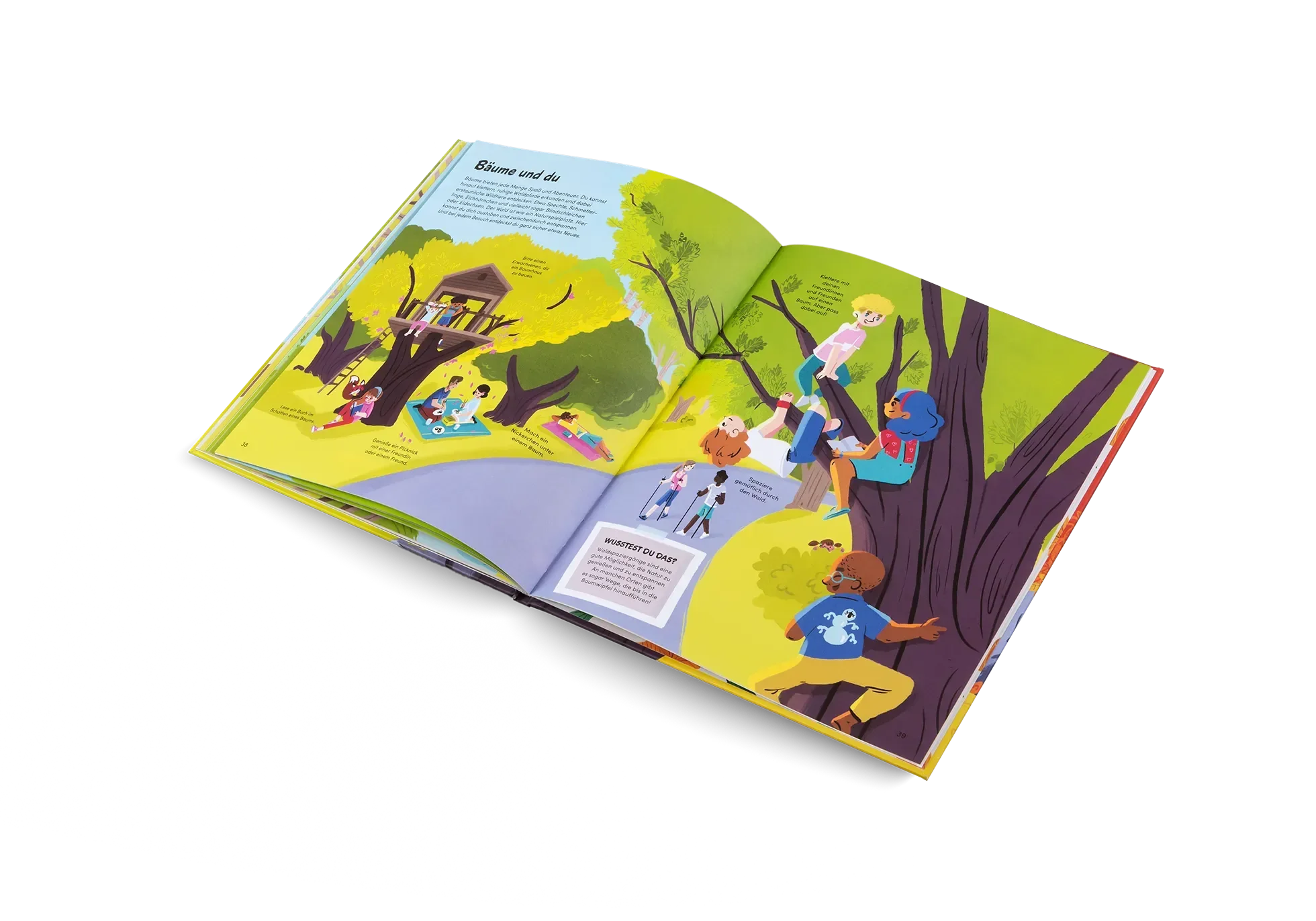 Das kleine Buch der Bäume