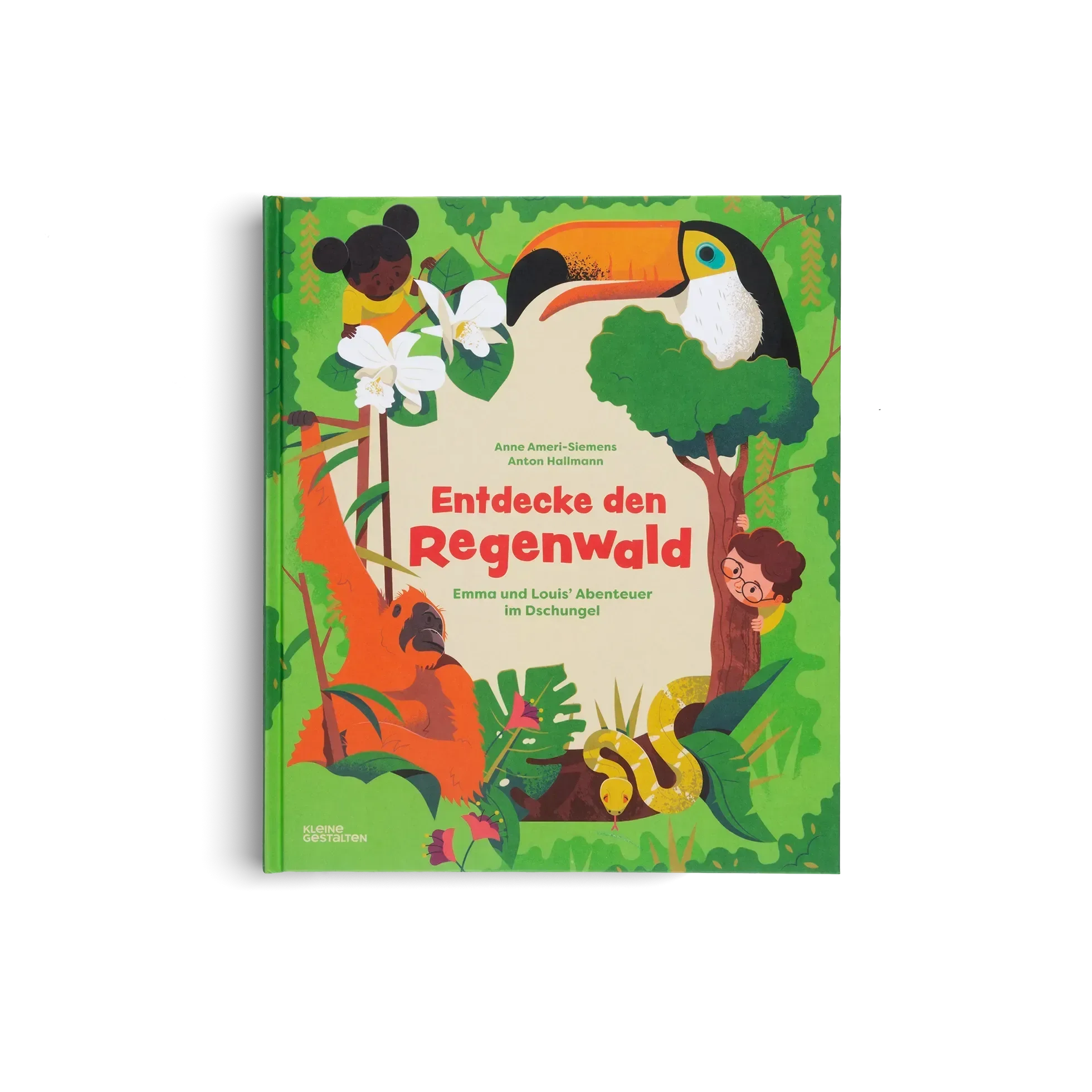 Entdecke den Regenwald