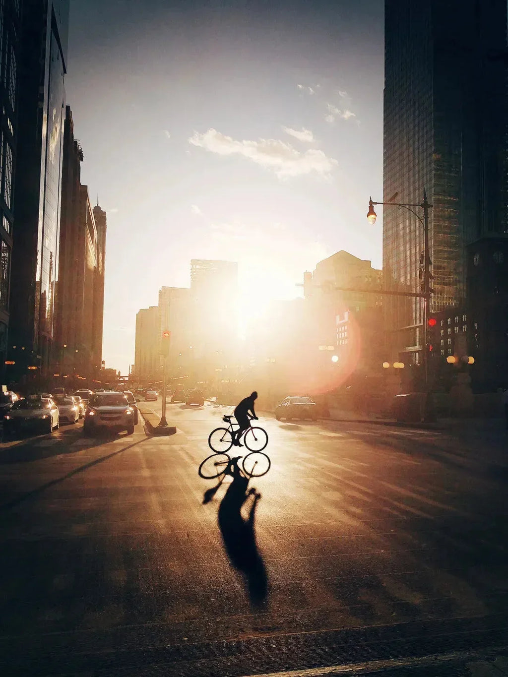 Velo City