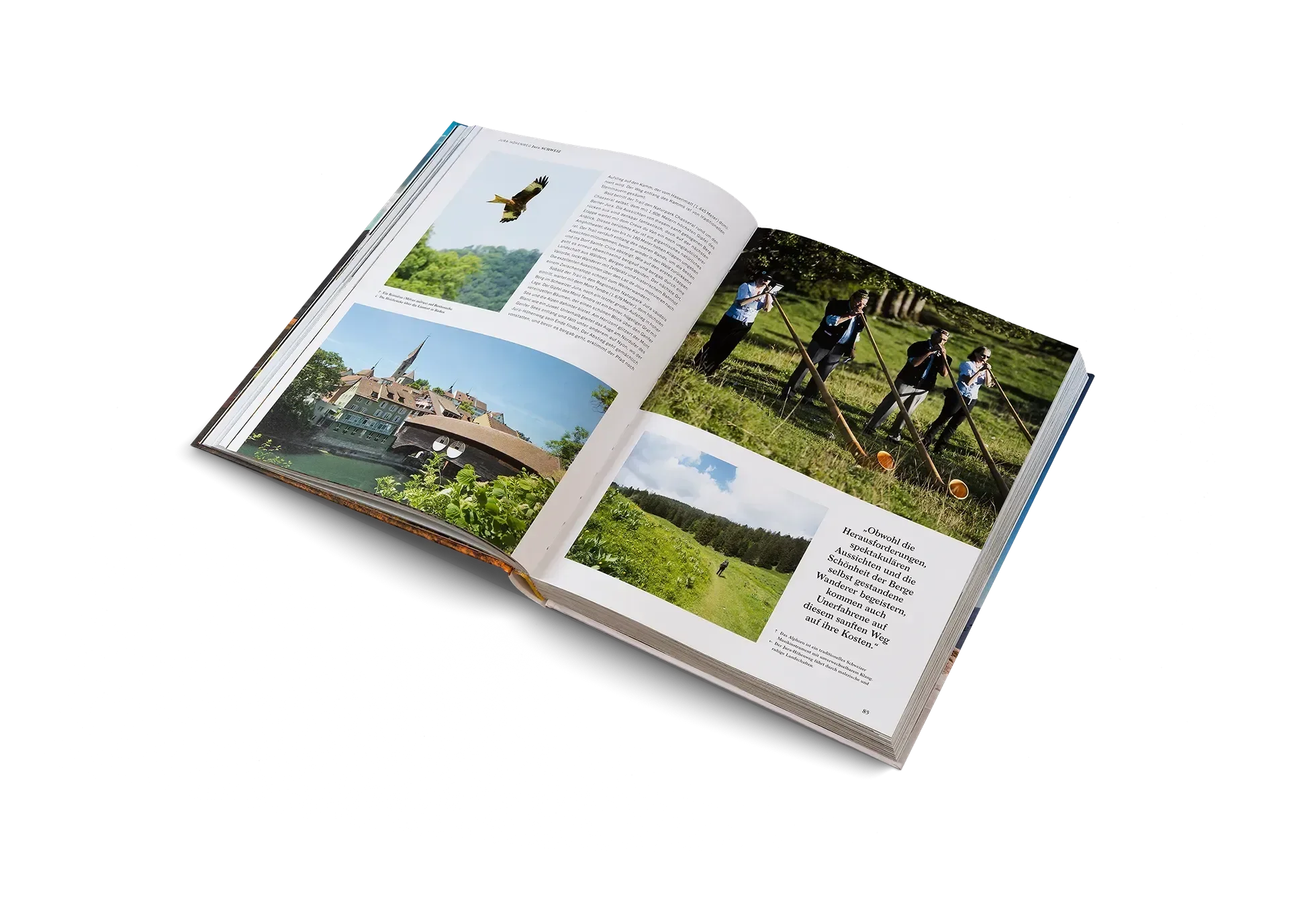 Das aufgeschlagene Buch "Wanderlust Alpen" aus dem gestalten EU Shop zeigt Landschaftsfotos, ein hoch aufragendes Gebäude und Menschen auf einem grasbewachsenen Hügel, mit beschreibendem Text auf weißen Seiten vor weißem Hintergrund.