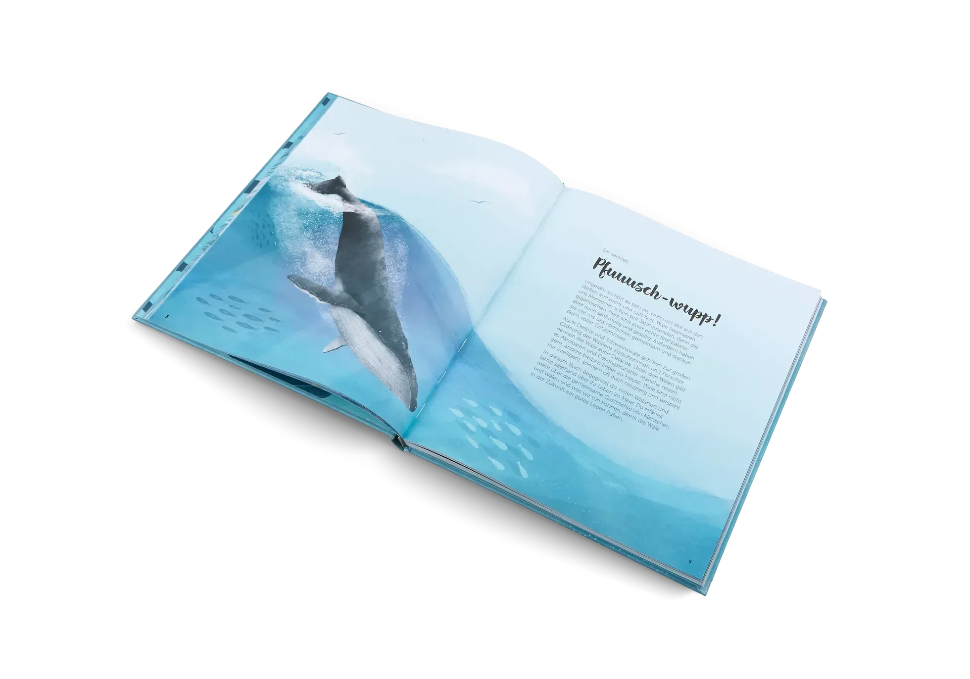 Die Welt der Wale