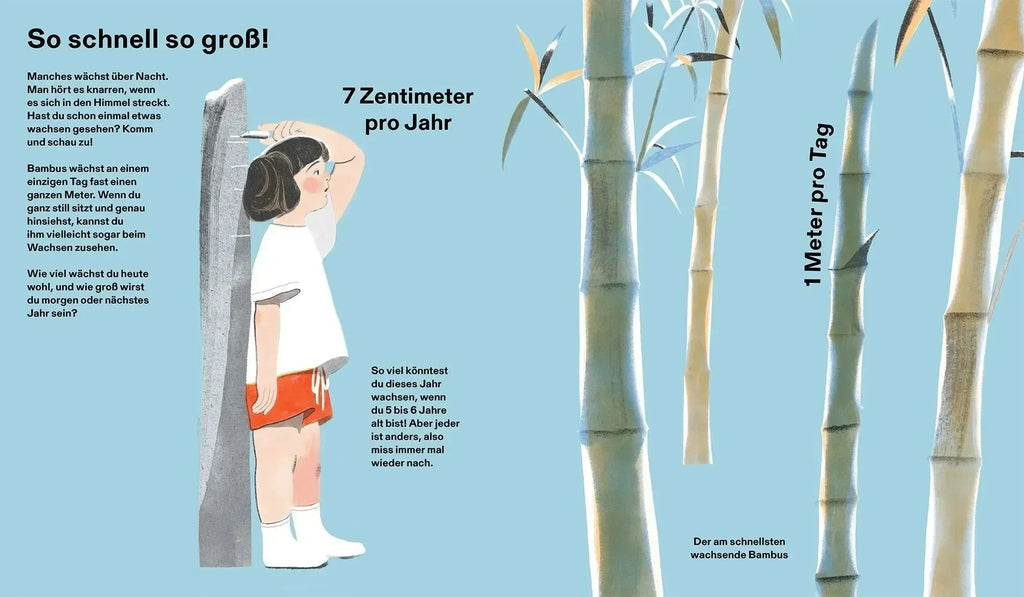 Wie groß, wie weit, wie schnell? Die Welt und ich