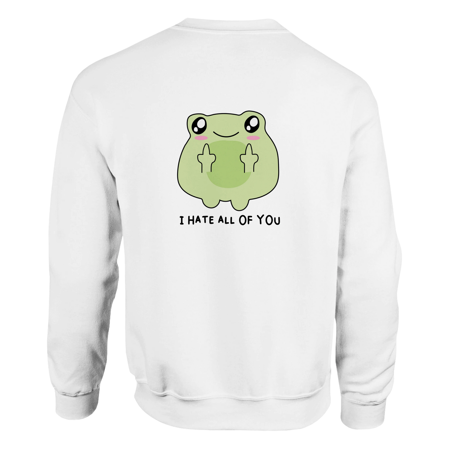 I Hate All Of You Frosch Sweatshirt – Lustiger Slogan Pullover mit sarkastischem Design