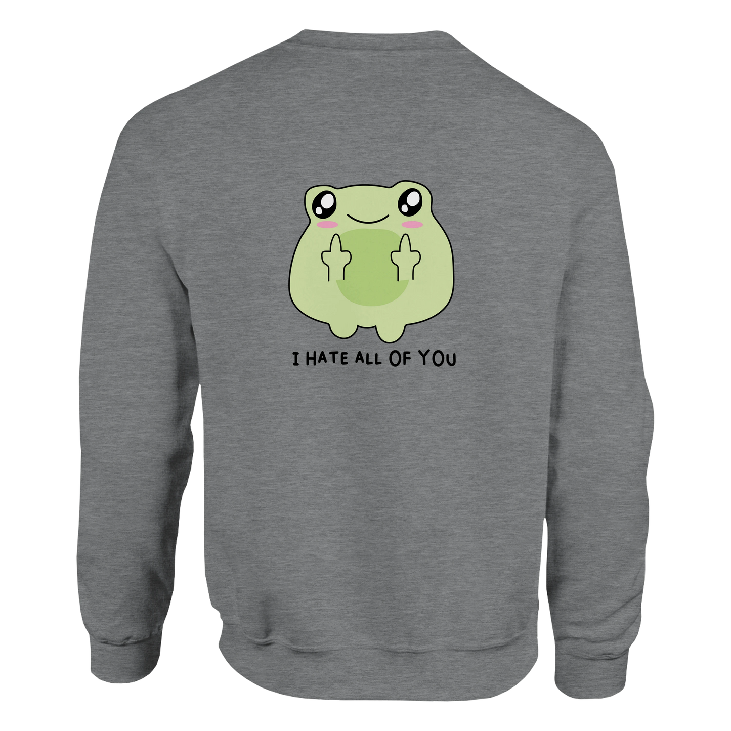I Hate All Of You Frosch Sweatshirt – Lustiger Slogan Pullover mit sarkastischem Design